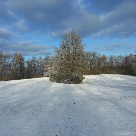 Paula Lichtenstein (Baden-Wurttemberg)