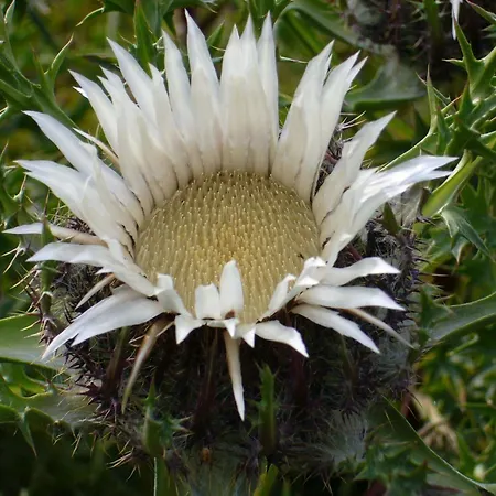 Paula Διαμέρισμα Lichtenstein (Baden-Wurttemberg)