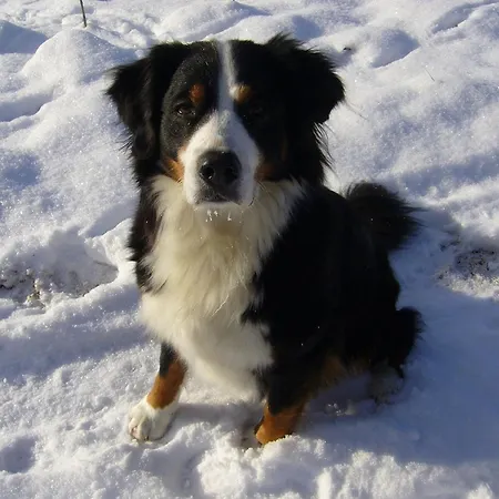 Paula Διαμέρισμα *